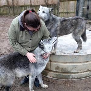 Meet your Posher, Libby